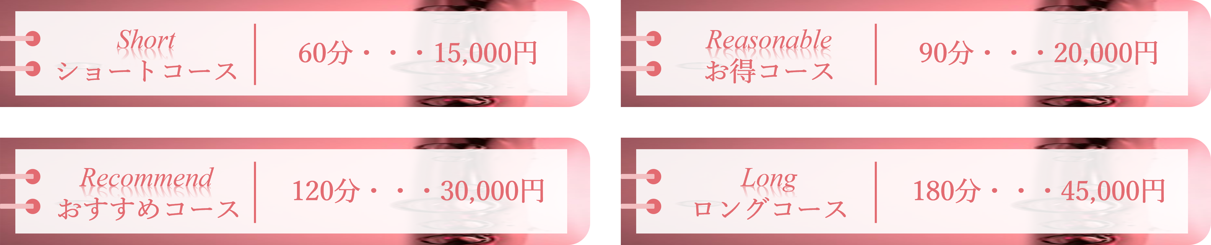 Price table horizontal