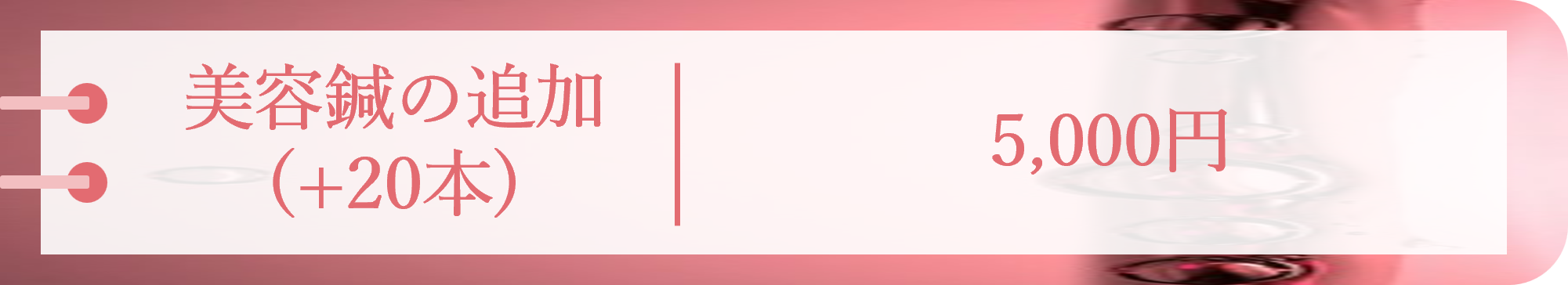 美容鍼の追加（+20本）5,000円